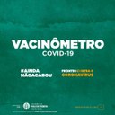 VACINÔMETRO COVID-19