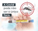 Cuidado com o Vírus da Dengue